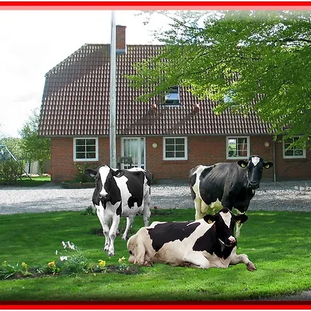 Lantgård Hveddegaard Farm Holiday